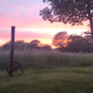 Meet your Posher, Alysen